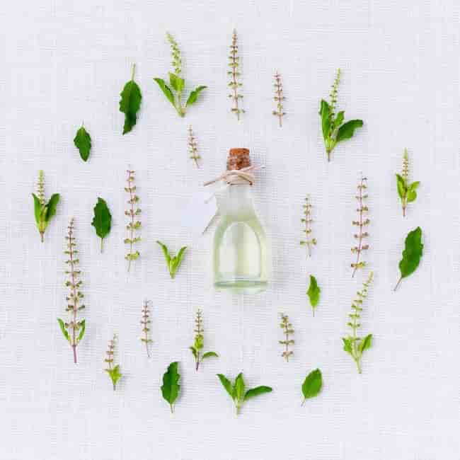 Herbs